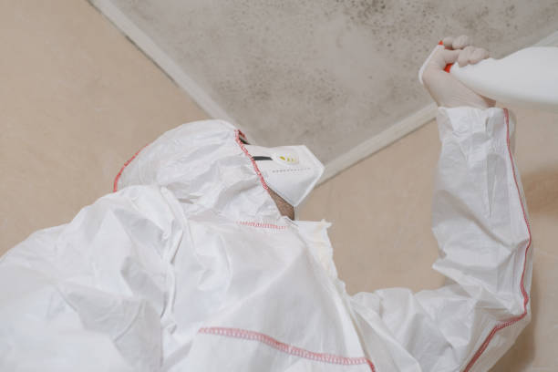 Best Professional Mold Removal  in Sisseton, SD