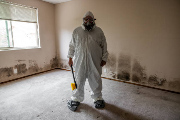 Best Certified Mold Removal  in Sisseton, SD
